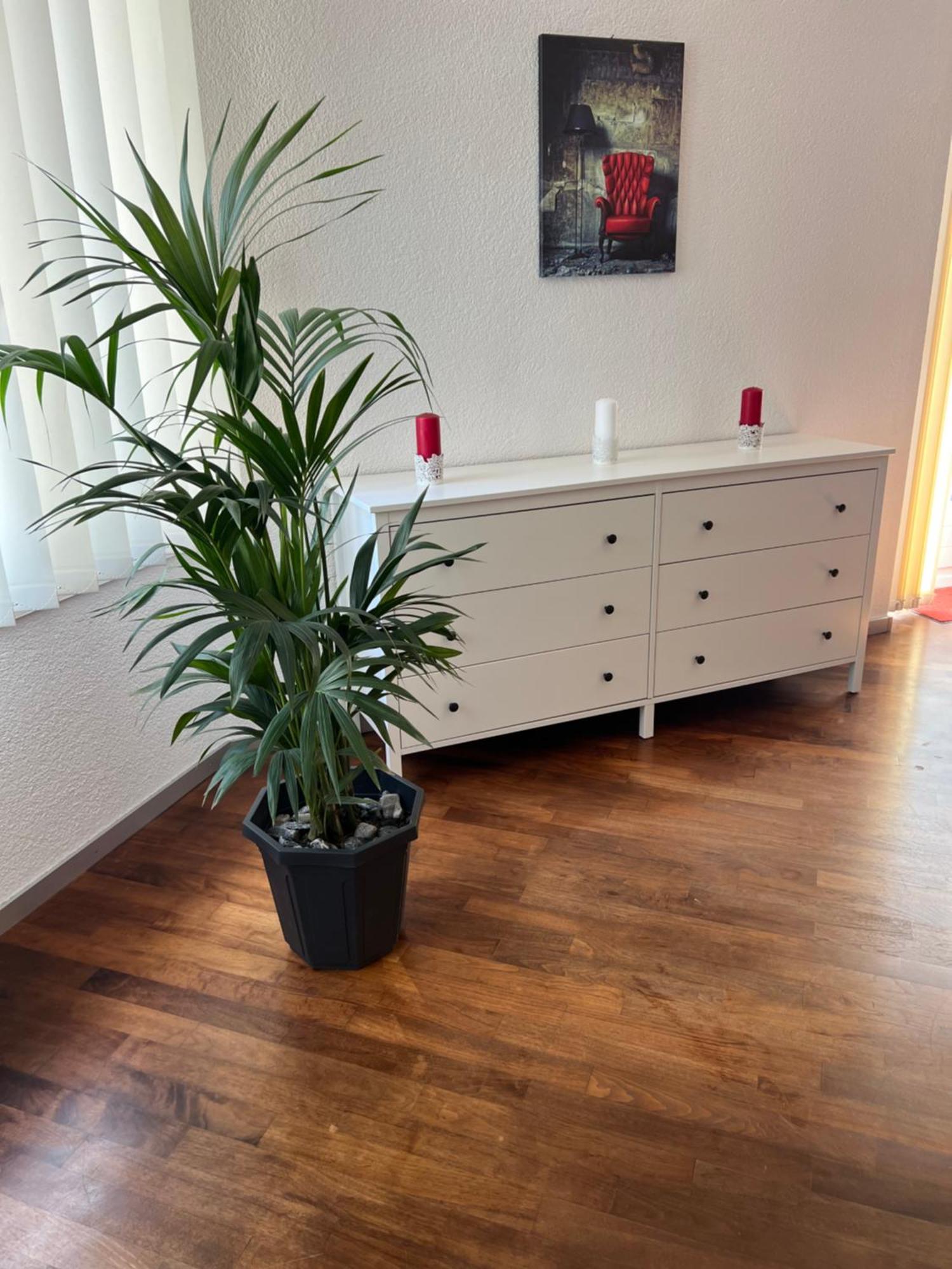 Apartment Peter インターラーケン エクステリア 写真
